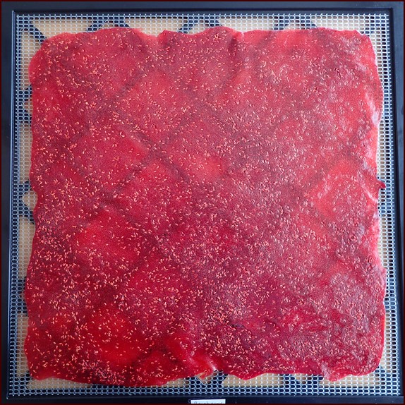 Photo shows a 50-50 blend of raspberry and mango. Notice that the leather is full of raspberry seeds. Improved leather by straining out the seeds.