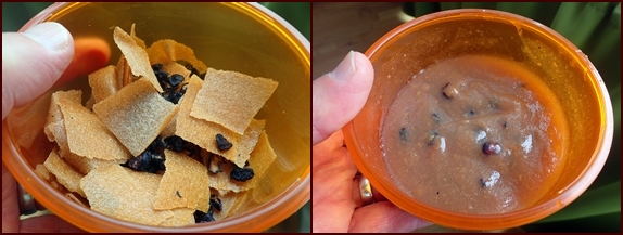 Rehydrating pear fruit leather and blueberries.