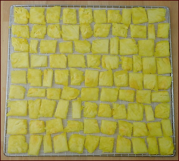 Sliced pineapple on Cosori dehydrator tray before drying.