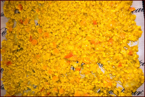 Cooked Yellow Mung Dal on Excalibur dehydrator tray.